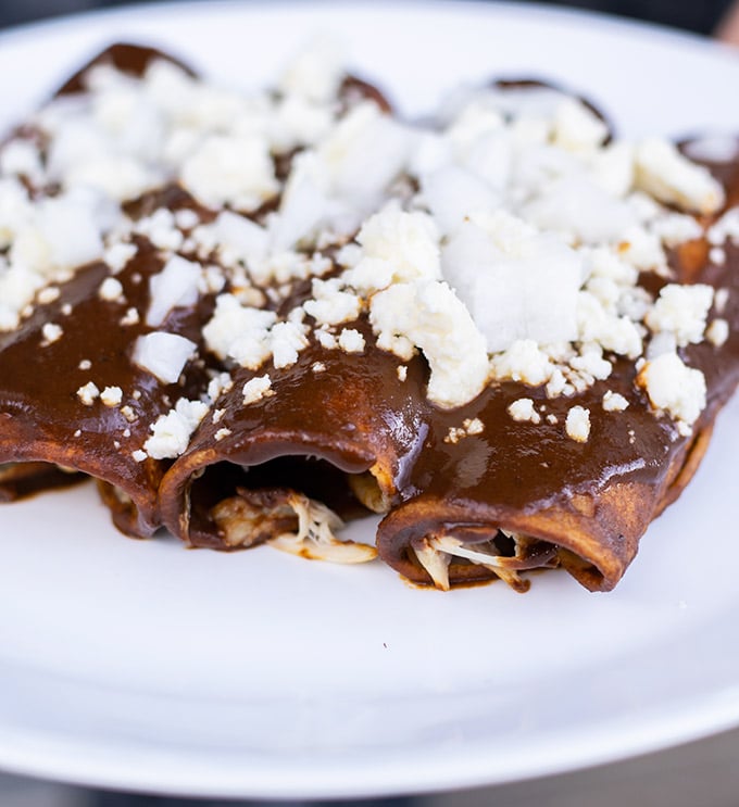 Chicken mole enchiladas on a white plate and garnished with crumbled queso fresco and diced onion.