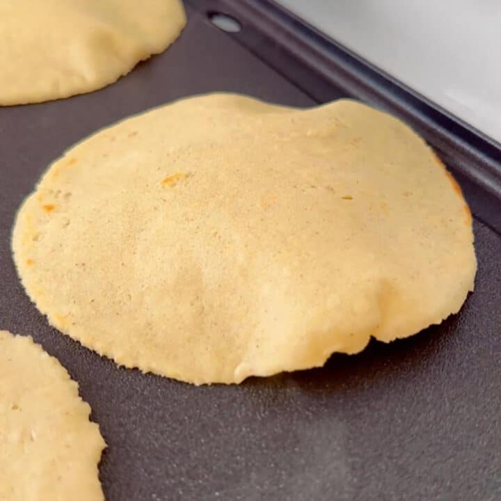 Homemade corn tortillas