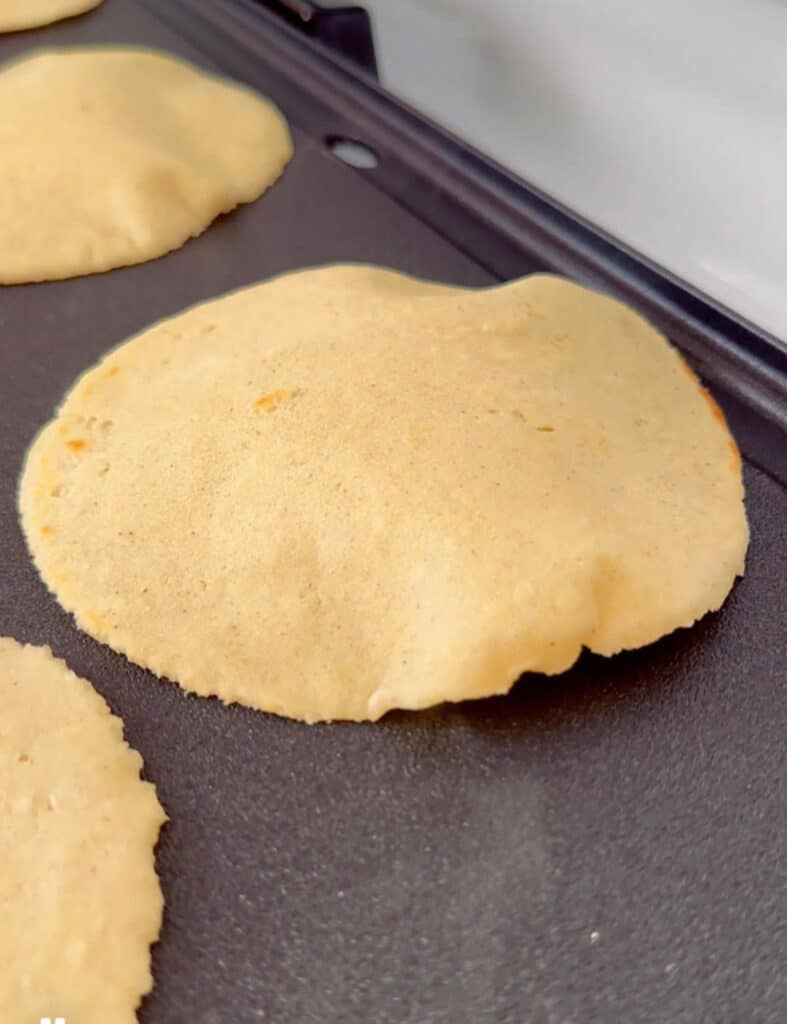 Homemade corn tortillas